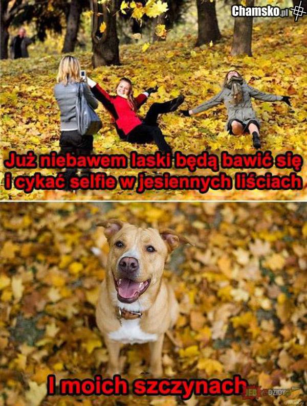 Siki