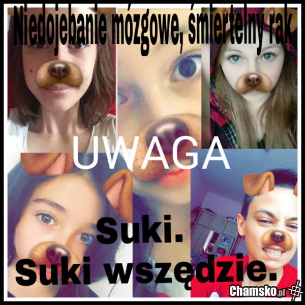 Uwaga