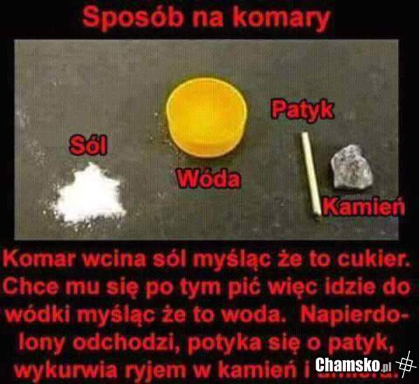 Ja już wiem jak zabić komara, a ty?