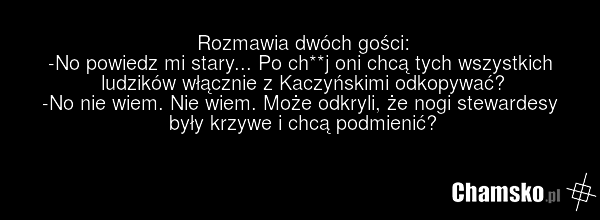 Rozmawia dwóch gości: -No powiedz mi stary... Po ch**j oni chcą tych wszystkich ludzików włącznie z Kaczyńskimi odkopywać? -No nie wiem. Nie wiem. Może odkryli, że nogi stewardesy były krzywe i chcą podmienić?