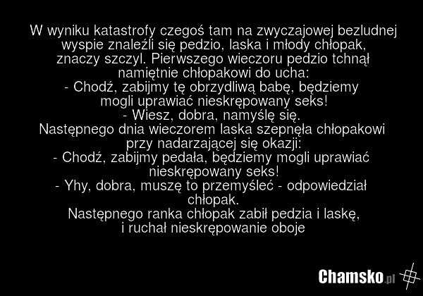 W wyniku katastrofy czegoś tam na zwyczajowej bezludnej wyspie znaleźli się pedzio, laska i młody chłopak, znaczy szczyl. Pierwszego wieczoru pedzio tchnął namiętnie chłopakowi do ucha: - Chodź, zabijmy tę obrzydliwą babę, będziemy mogli uprawiać nieskrępowany seks! - Wiesz, dobra, namyślę się. Nas…