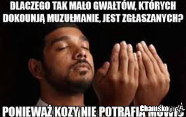 wszystko jasne