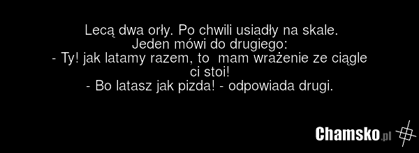 Lecą dwa orły. Po chwili usiadły na skale. Jeden mówi do drugiego: - Ty! jak latamy razem, to mam wrażenie ze ciągle ci stoi! - Bo latasz jak pizda! - odpowiada drugi.
