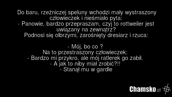 Do baru, rzeźniczej speluny wchodzi mały wystraszony człowieczek i nieśmiało pyta: - Panowie, bardzo przepraszam, czyj to rottweiler jest uwiązany na zewnątrz? Podnosi się olbrzymi, zarośnięty dresiarz i rzuca: - Mój, bo co ? Na to przestraszony człowieczek: - Bardzo mi przykro, ale mój ratlerek go…