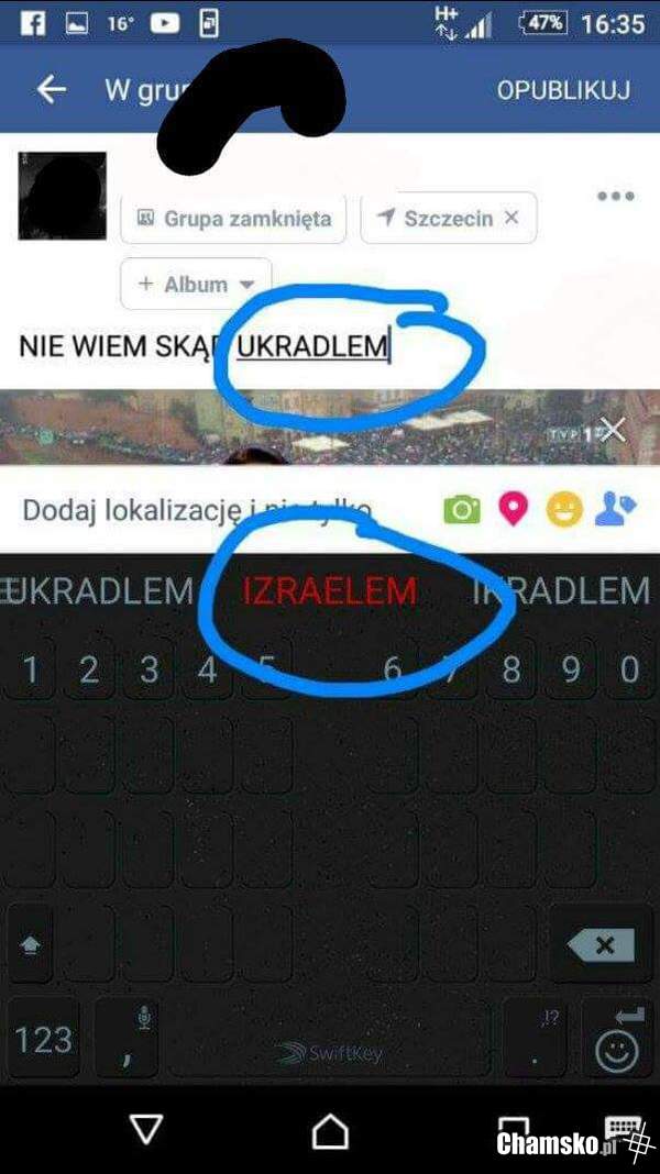 Coś w tym jest