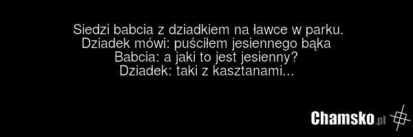 Siedzi babcia z dziadkiem na ławce w parku. Dziadek mówi: puściłem jesiennego bąka Babcia: a jaki to jest jesienny? Dziadek: taki z kasztanami...