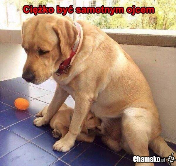 samotny