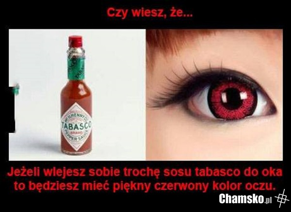 Polecam, Makłowicz