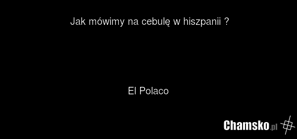 Jak mówimy na cebulę w hiszpanii ? El Polaco