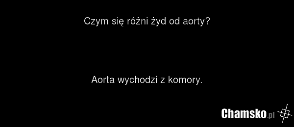 Czym się różni żyd od aorty? Aorta wychodzi z komory.
