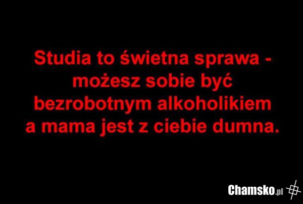 Studia