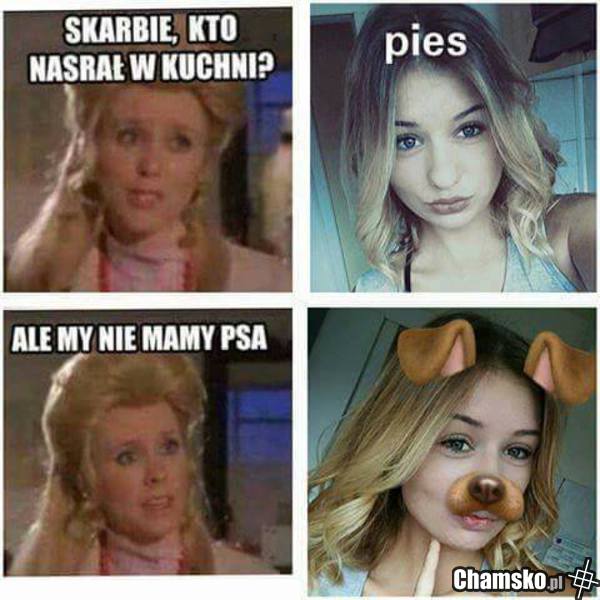 pies.