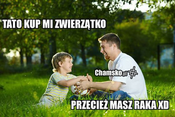 Nowe zwierzątko