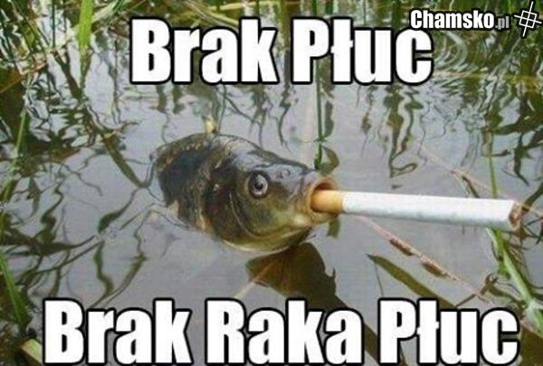 brak 55 bln w sejmie