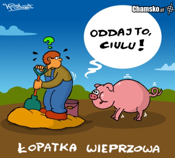 Łopatka wieprzowa