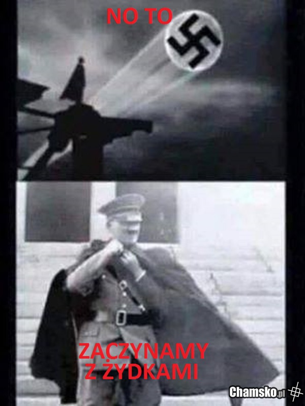 Jedziemy z karaluchami