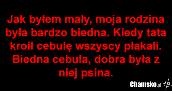 Cebula