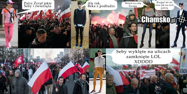 Polacy