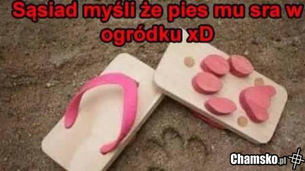 A to zły pies!