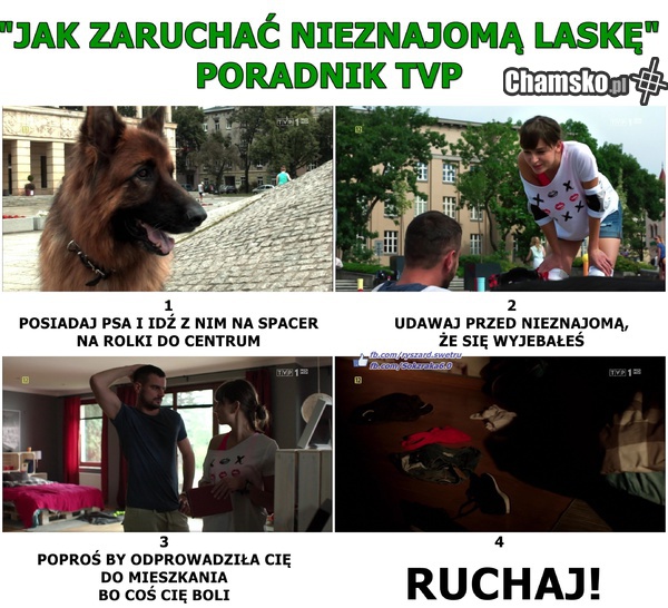 Brazzers? Nie, to TVP XD