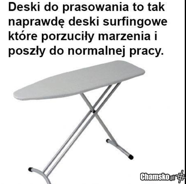 DONALD TY ŚWINIO
