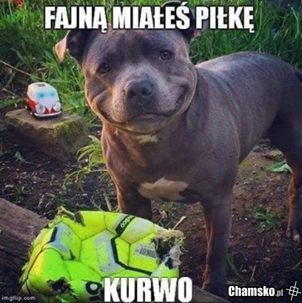 fajna piłka kurwo