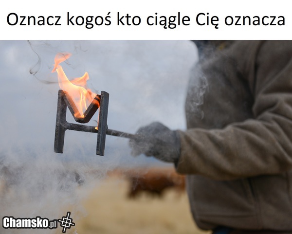 Dzielmy się radością z przyjaciółmi z facebook'a