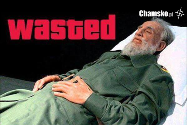 Wasted