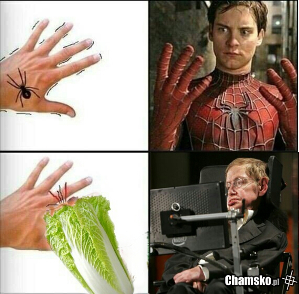 Warzywko