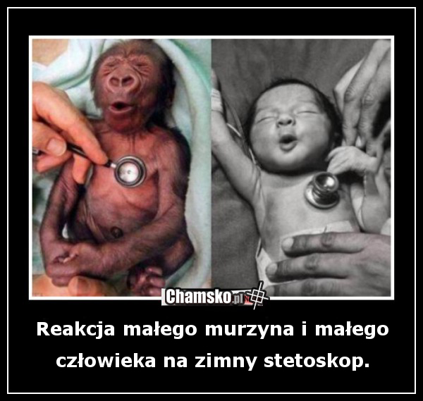 Murzyn i człowiek