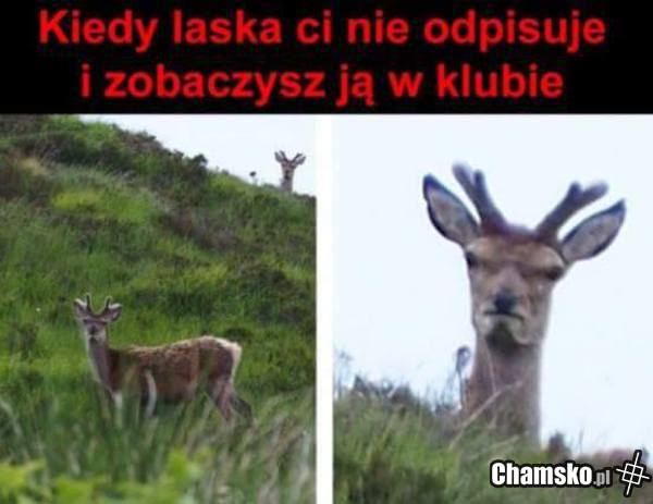 A to suka