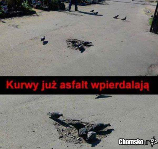 Wiosna