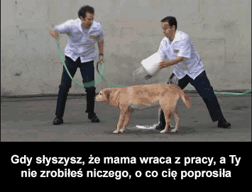 Do roboty