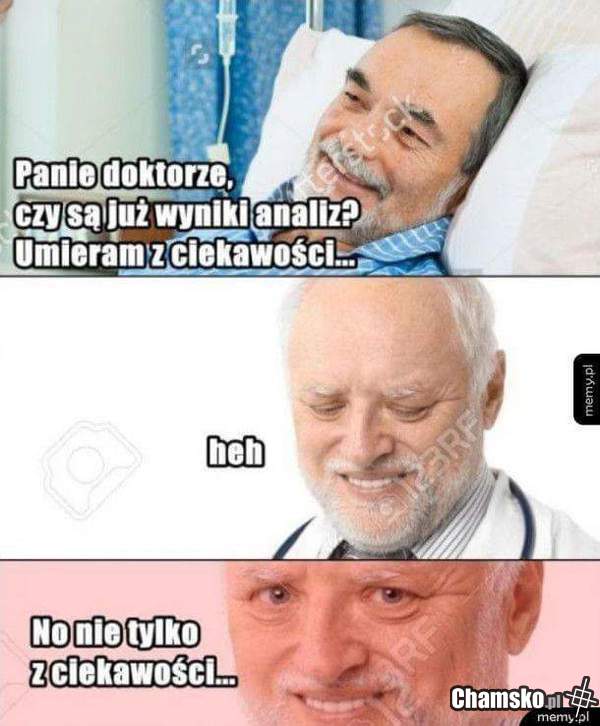 wyniki