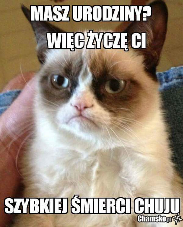 Życzę ci