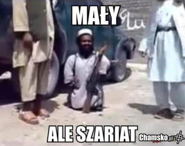 Wariat