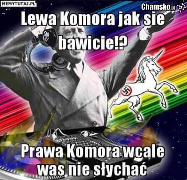 sylwek