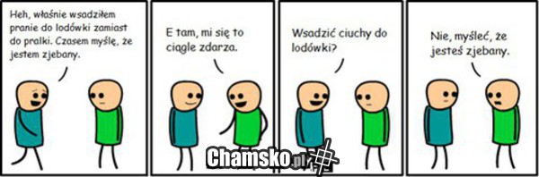 Kolega
