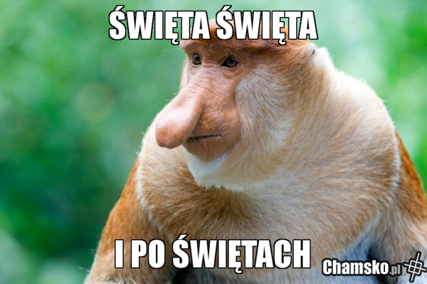 święta