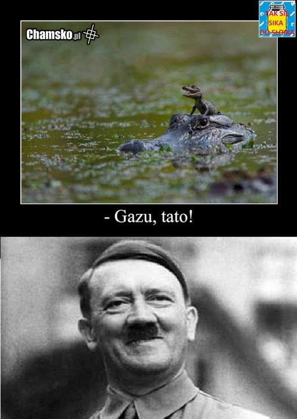 Gazu tato