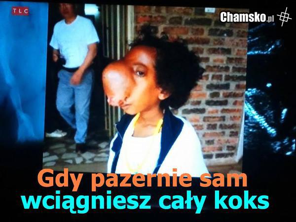koks mocno
