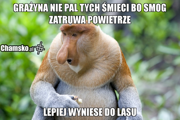 smog