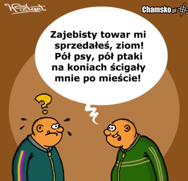 Zajebisty towar