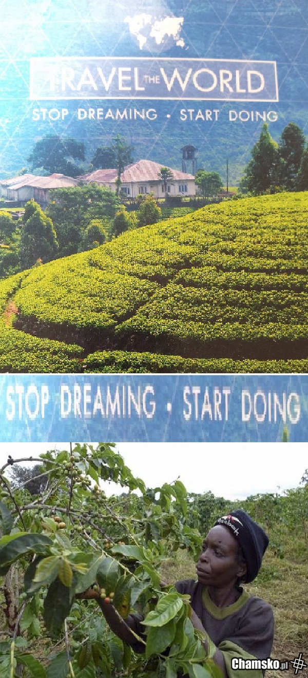 Stop Dreaming