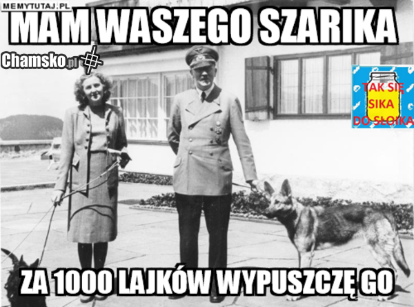 wyzwanie