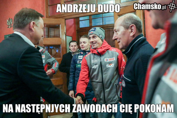 żyła