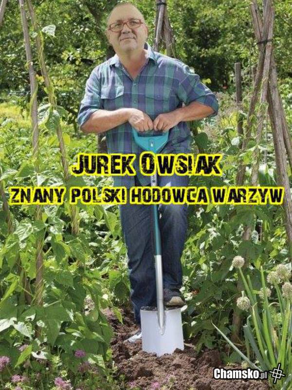Owsiak