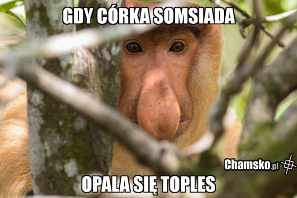 toples