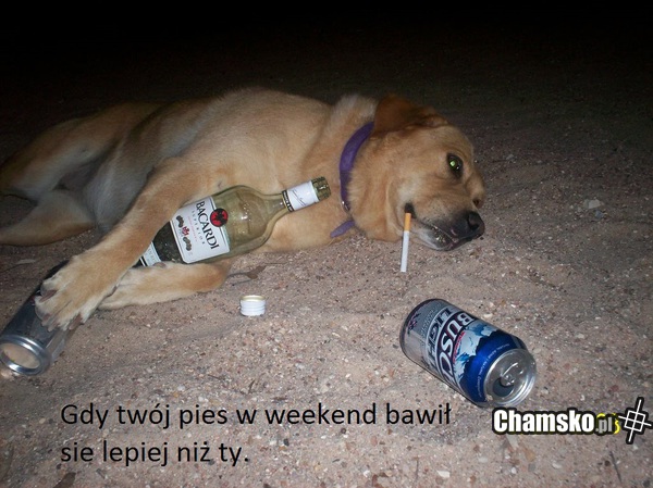 Melanż
