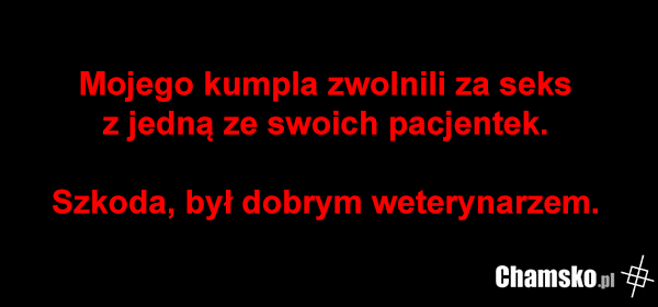 Zoofilia